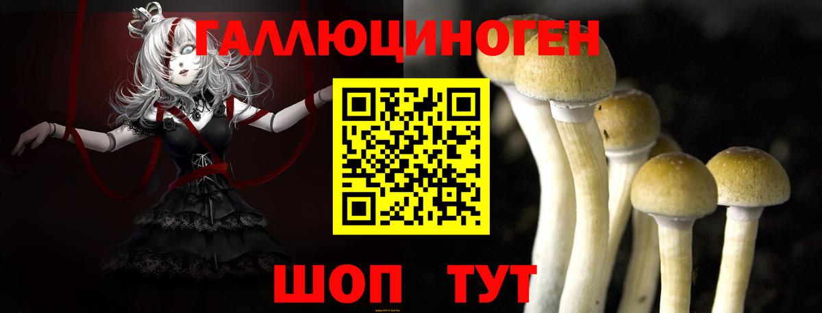 наркошоп  Псилоцибиновые грибы ЛСД  Псилоцибиновые грибы Psilocybine cubensis  Вход с VPN  Кореновск 